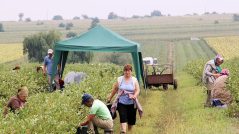 Japan’s Loan Agreement with the Moldovan Government Will Provide Farmers Access to Financial Support