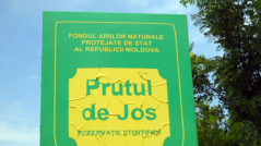 The Government has Approved the Regulations for the Operation of the Prutul de Jos Biosphere Reserve: It Contributes to the Protection of Flora and Fauna