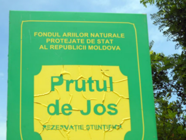 The Government has Approved the Regulations for the Operation of the Prutul de Jos Biosphere Reserve: It Contributes to the Protection of Flora and Fauna