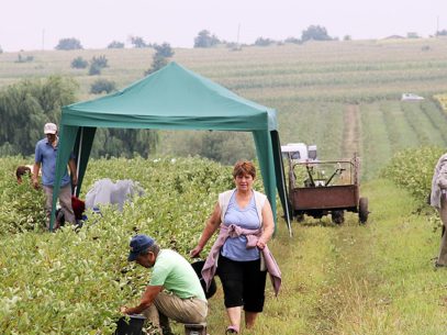 Japan’s Loan Agreement with the Moldovan Government Will Provide Farmers Access to Financial Support