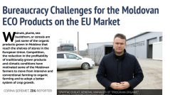 Bureaucracy Challenges for the Moldovan ECO Products on the EU Market