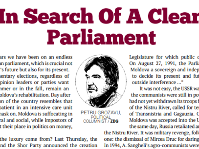 In Search of a Clean Parliament