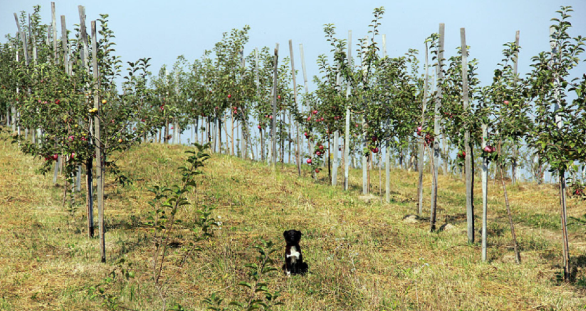 The World Bank Offers $15 Million to Support the Agri-Food Sector