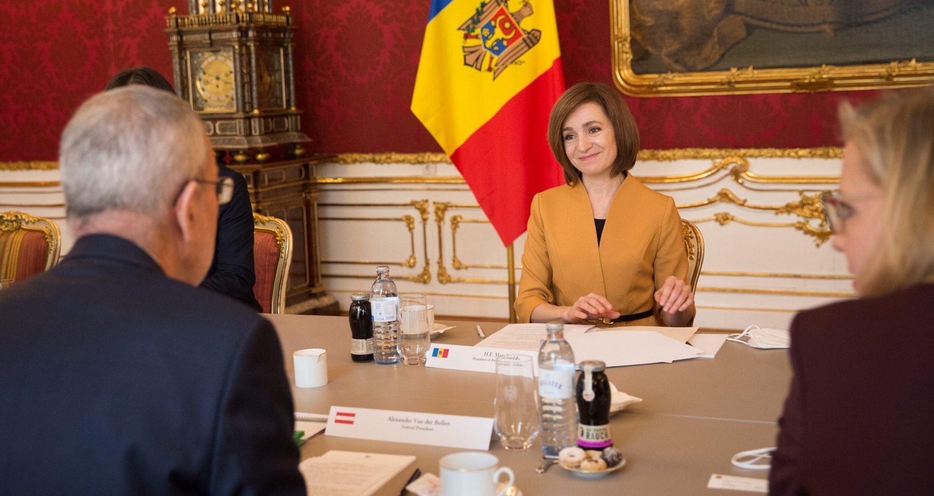 Austria will Donate 100,000 Doses of Vaccine to Moldova, Announced the President of Austria, Alexander Van der Bellen, During the Meeting with President Maia Sandu