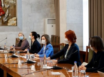 The Parliamentary Assembly of the Council of Europe Delegation Meets with President Maia Sandu and with the Interim Prime Minister Aureliu Ciocoi