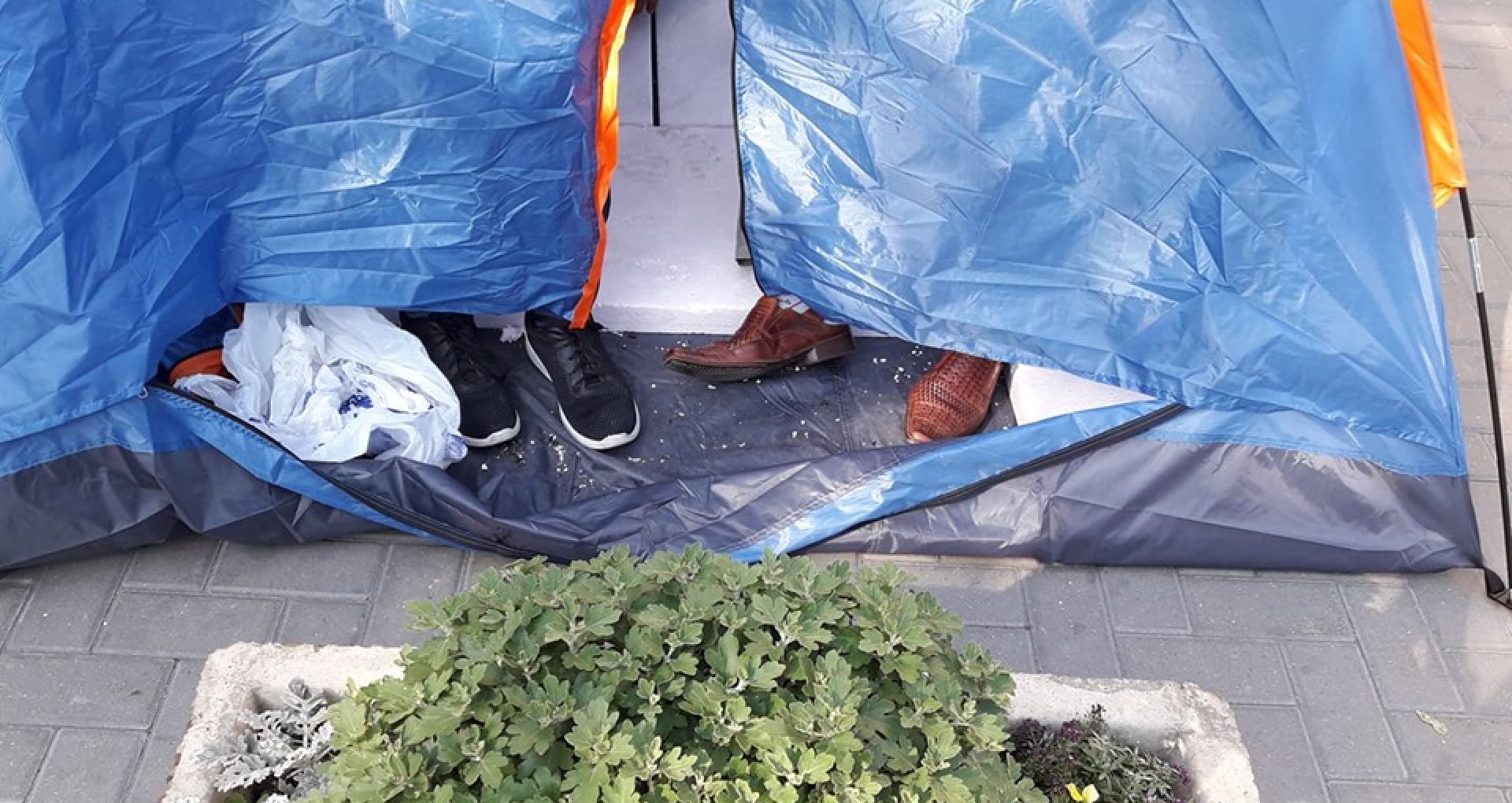 VIDEO / Under cover: “Food, and roubles, and ice cream, and pool.” How much does a day of sitting in tents in front of state institutions cost