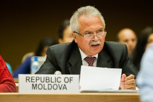 sainciuc unece