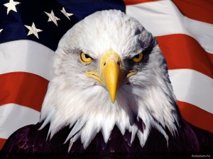 Bankoboev.Ru_orel_i_amerikanskii_flag