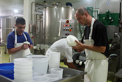 La întreprinderea Italatte lucrează şapte angajaţi. Zilnic, la fabrică sunt produse circa 90 kg de mozzarella şi caşcavaluri